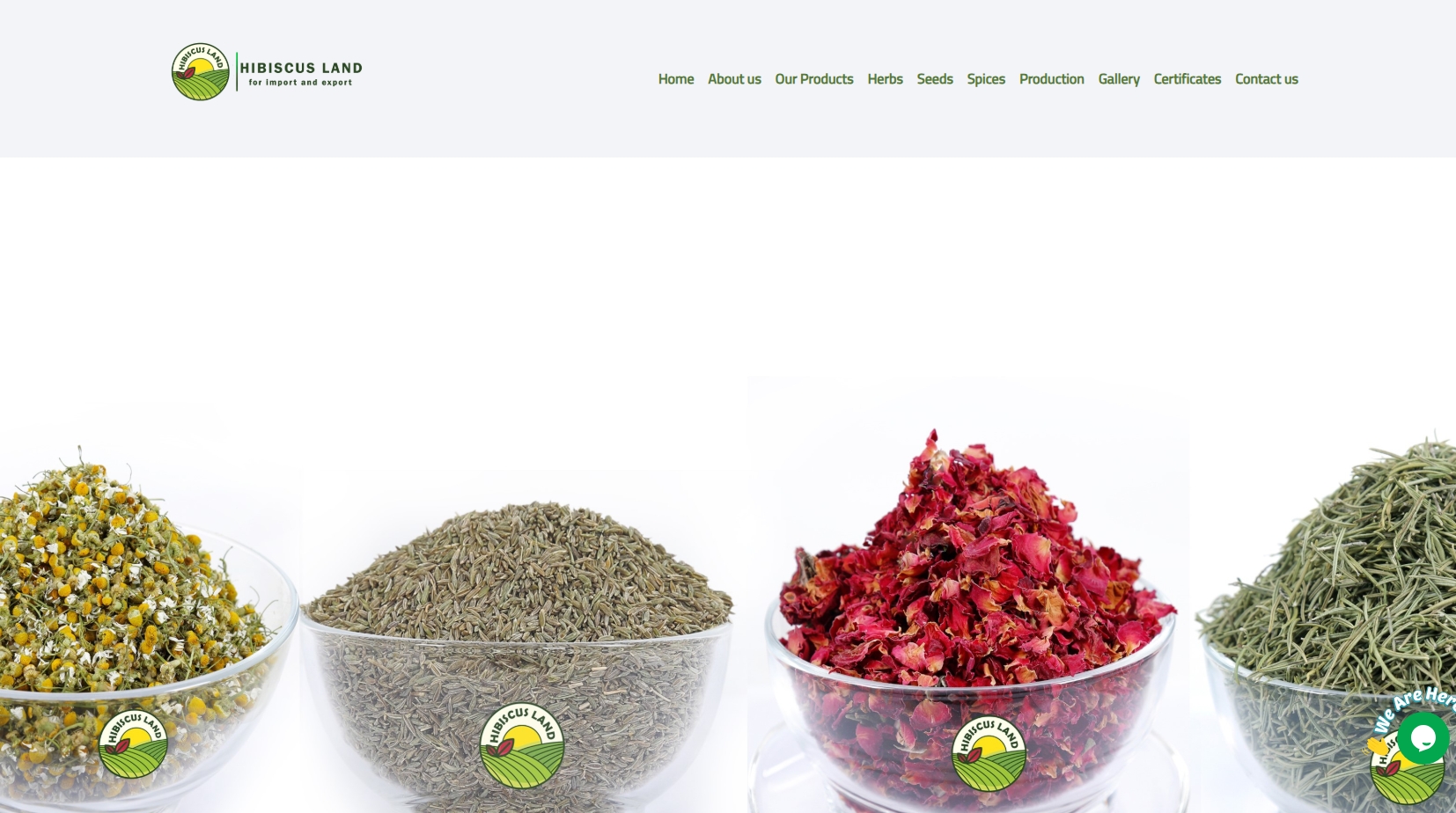 Website 1